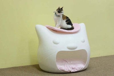 Домики для кошек: привычные и необычные
