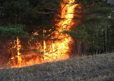 Пожары в Забайкалье привели к режиму ЧС