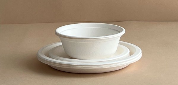 Вредны ли пластиковые тарелки для экологии?