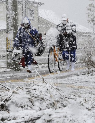 Япония не справляется с обрушившимся снегопадом