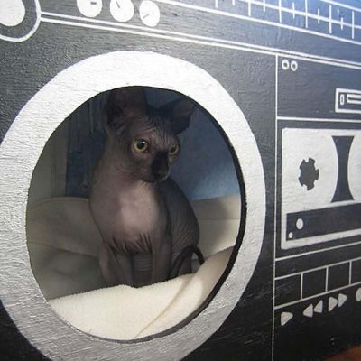 Домики для кошек: привычные и необычные