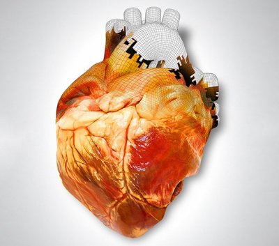 Ученые пытаются создать человеческое сердце на 3D-принтере
