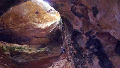 Пещеру с тысячами окаменелостями, законсервированную более 30 лет назад, вновь откроют для ученых
