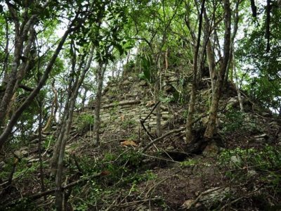 В Мексике обнаружили древние города майя