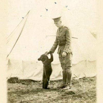 Винни-Пух 100 лет спустя: Реальная история медведя Винни