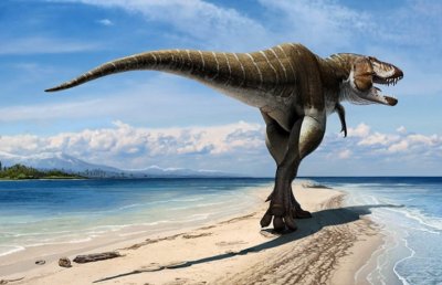 В Юте для посетителей откроют область с 200 различными следами динозавров