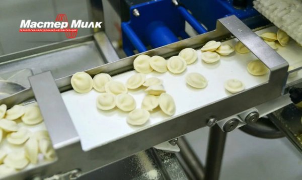 Бизнес план по производству пельменей и вареников в Украине