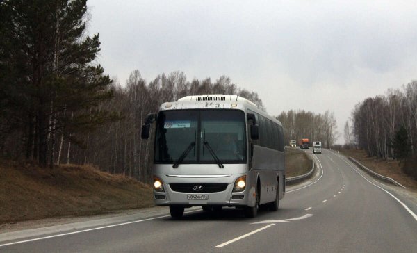 Где купить билет на автобус Томск - Новосибирск