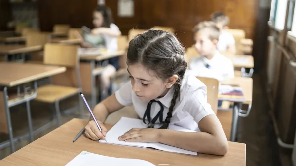Частное образование для детей в Москве: как выбрать частный сад или школу